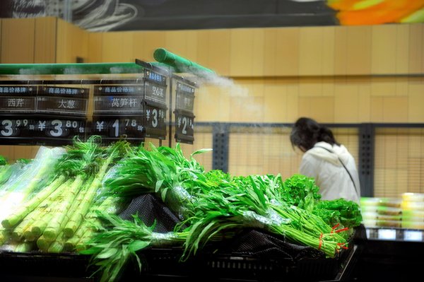 Créer Votre Compost Maison : Une Astuce Économique pour Remplacer les Engrais Acheteés